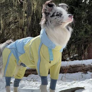 秋冬保暖加绒帅气潮流四脚小灵缇衣服格力犬贝林顿狗外出棉服冲锋