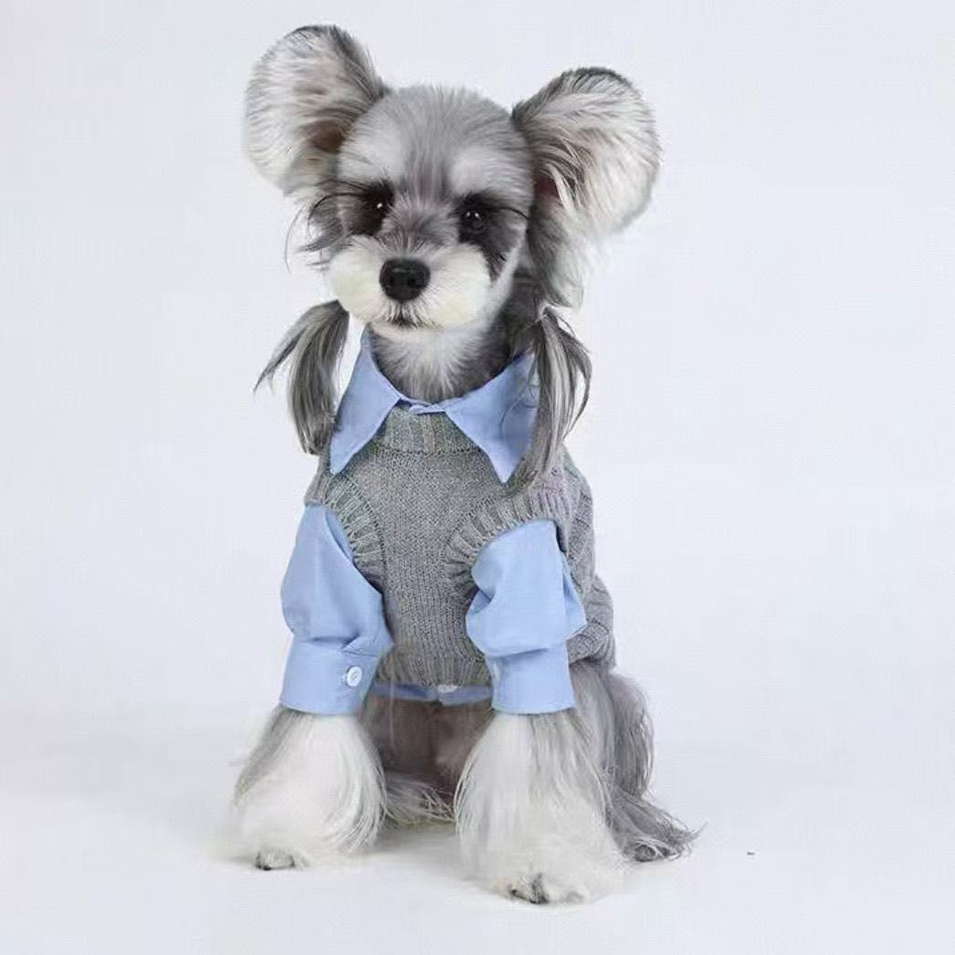 MIU系风毛衣衬衫两件套新款宠物秋冬超萌洋气小型犬猫咪狗狗ins风