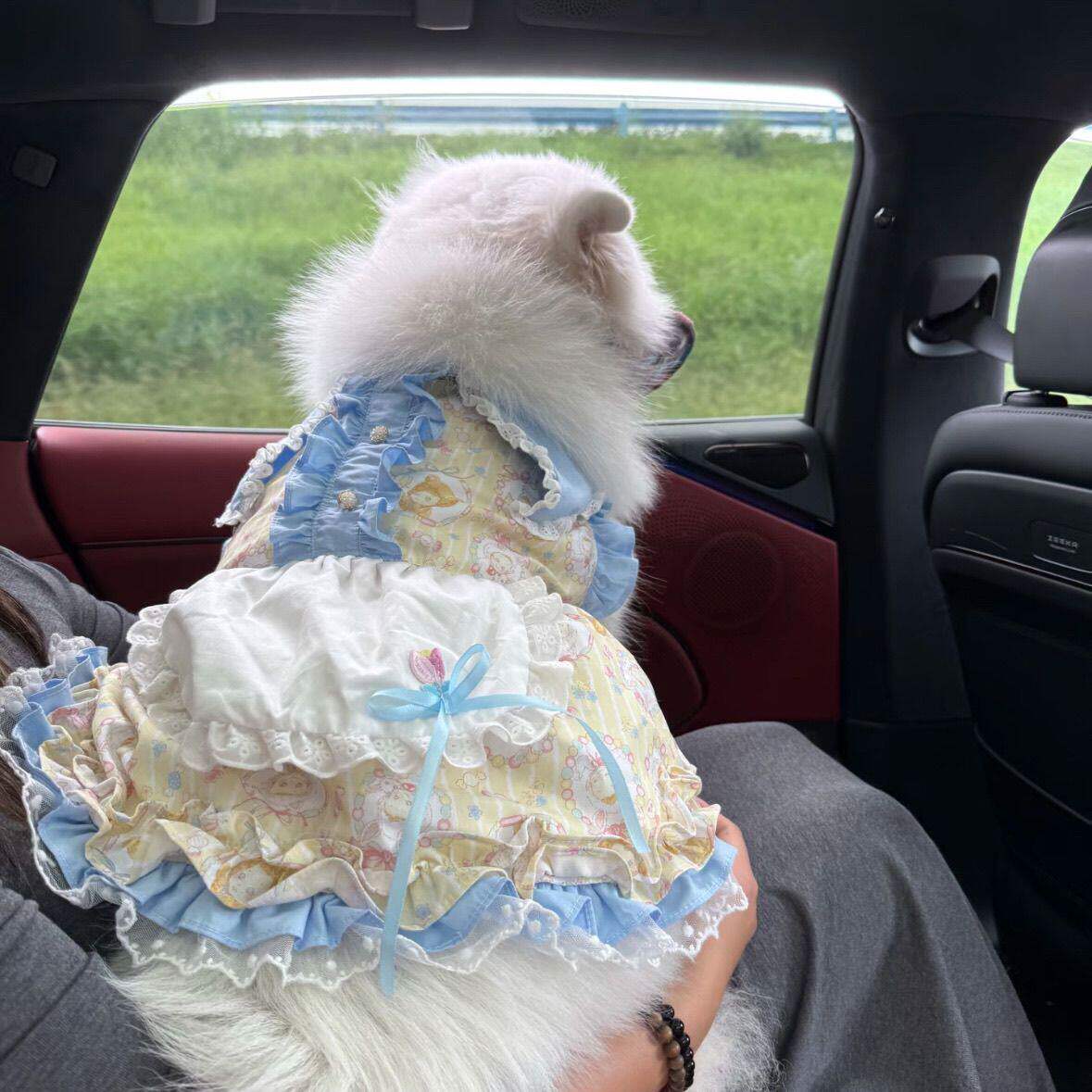 宠物春夏公主大中型犬绑带网纱裙宠物狗狗猫咪衣服萨摩耶防掉毛