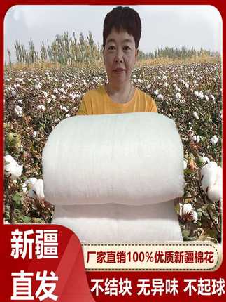 13斤新疆棉花被子手工纯棉被芯棉絮棉胎被加厚单人床垫被褥子冬被