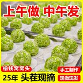 榆钱窝窝头2026新鲜榆钱馒头菜团子纯手工野菜粗粮速食早餐窝窝头