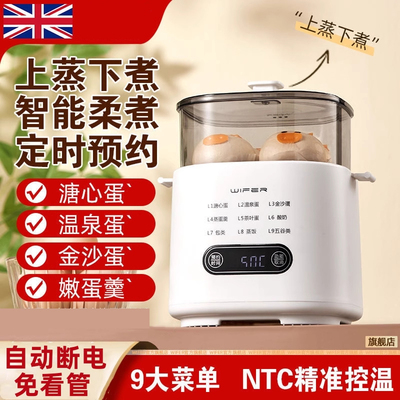 鸡蛋蒸蛋器家用小型预约早餐神器