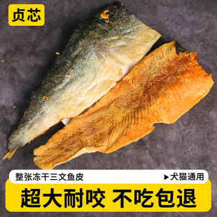 冻干三文鱼皮磨牙狗狗零食猫咪耐咬宠物大中小型幼犬宠物泰迪金毛