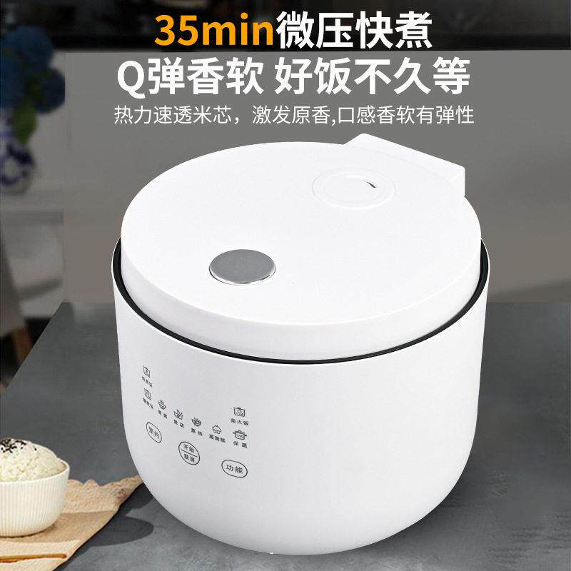 新款直销跨境家用宿舍智能迷你电饭煲煲粥煮汤电蒸锅3升500功率电