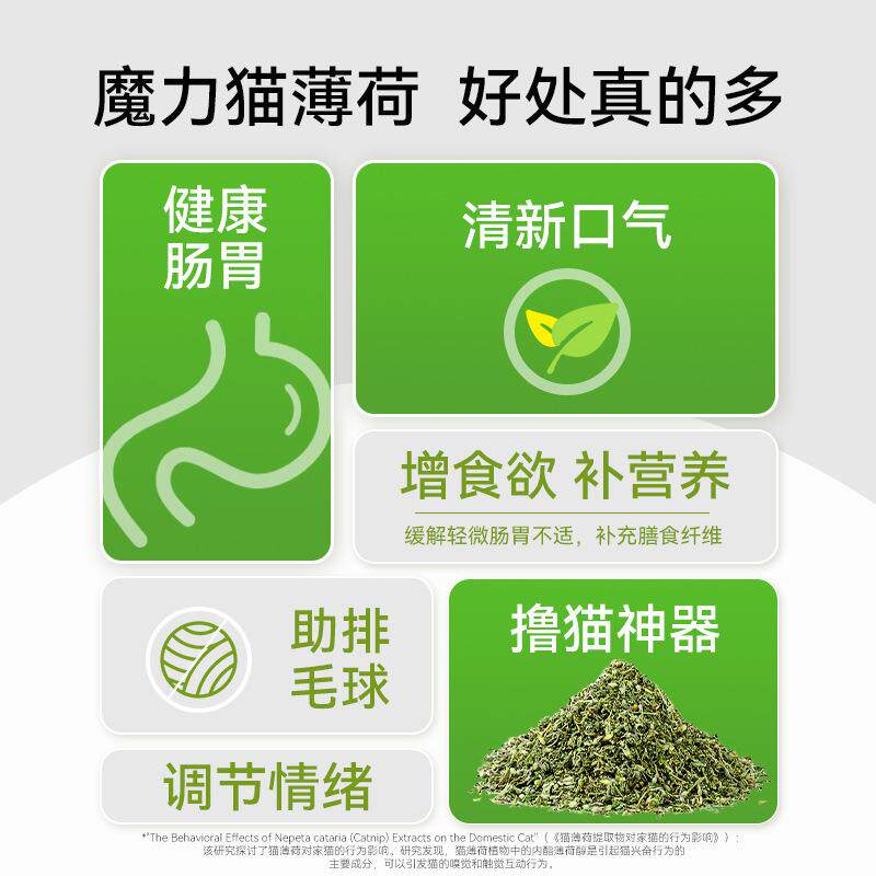 新款直销猫咪零食大罐猫薄荷幼猫可食用去毛球猫草成年猫咪宠物宠