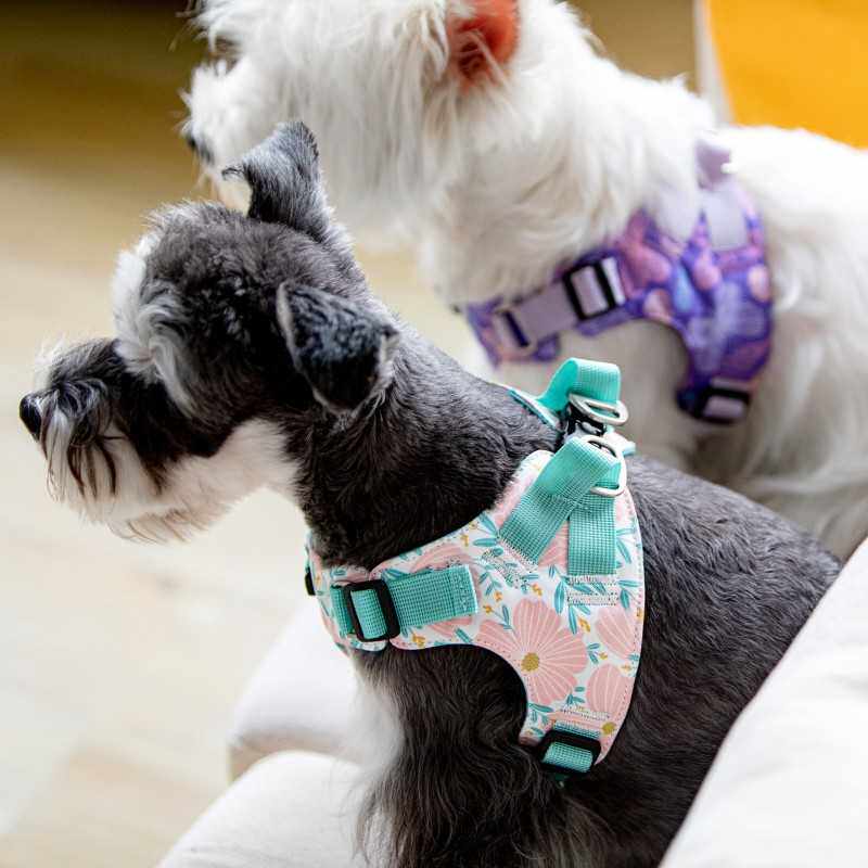 新款直销优莱仕狗狗胸背衣小碎花牵引绳柔软舒适防爆冲宠物用品猫