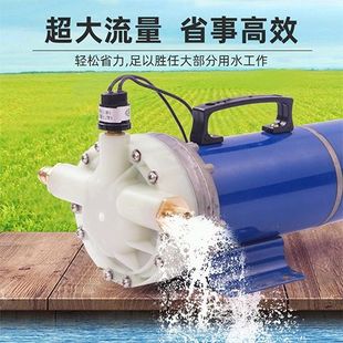 高压泵全自动打药机12V48V60V喷雾器五缸隔膜泵车载打药泵冲肥泵