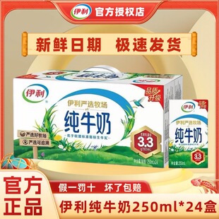24盒整箱优质乳蛋白学生早餐正品 伊利纯牛奶250ml 3月新货