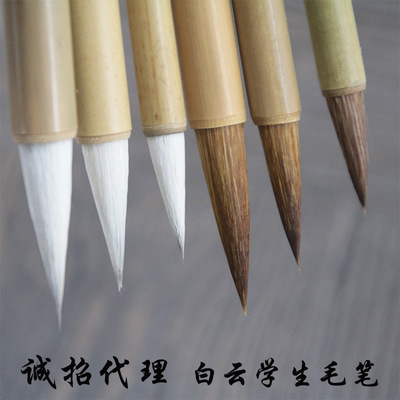 Student Baiyun Brush Teacher recommends adult calligraphy classes with regular bamboo stems, wolf hair brushes, and bru