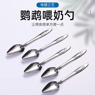 Stainless Steel Spoon Parrot Breastfeeder Hand Feeding Bags Xuan Feng BB Chickens Baby Bird Milk Powder Feeding Spoon