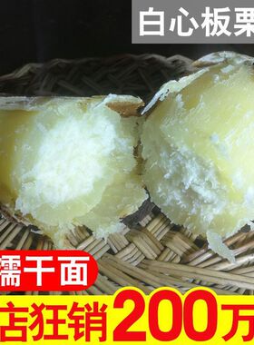 分装瓶收纳罐高品质正宗白心红薯新鲜农家红皮板栗薯番薯地瓜粉糯