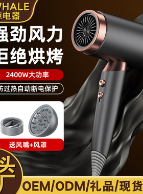 空盒子跨境货源吹风机家用负离子电吹风发廊专用大功率吹风筒恒温