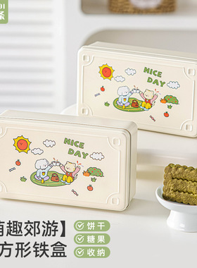 分装瓶收纳罐长方形铁盒收纳马口铁小风糖果曲奇饼干卡通子空礼品