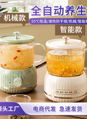 空盒子Y家用玻璃壶身迷你煮茶壶炖煮一体恒温烧水壶小型全自动生