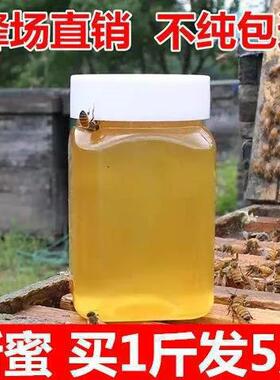 分装瓶收纳罐蜂蜜天然农家自产结晶蜂蜜百花蜜洋槐蜜枣花蜜500克