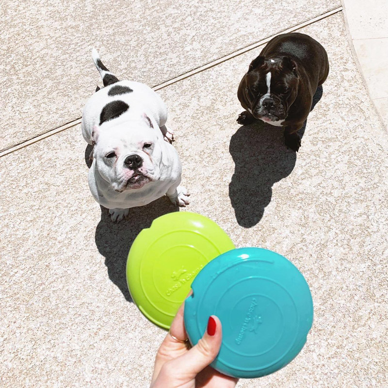 CAITEC狗狗漏食玩具可发声