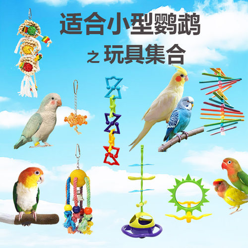Caitec中小鹦鹉玩具集合 多种适合小鹦鹉的玩具 虎皮牡丹玄凤凯克