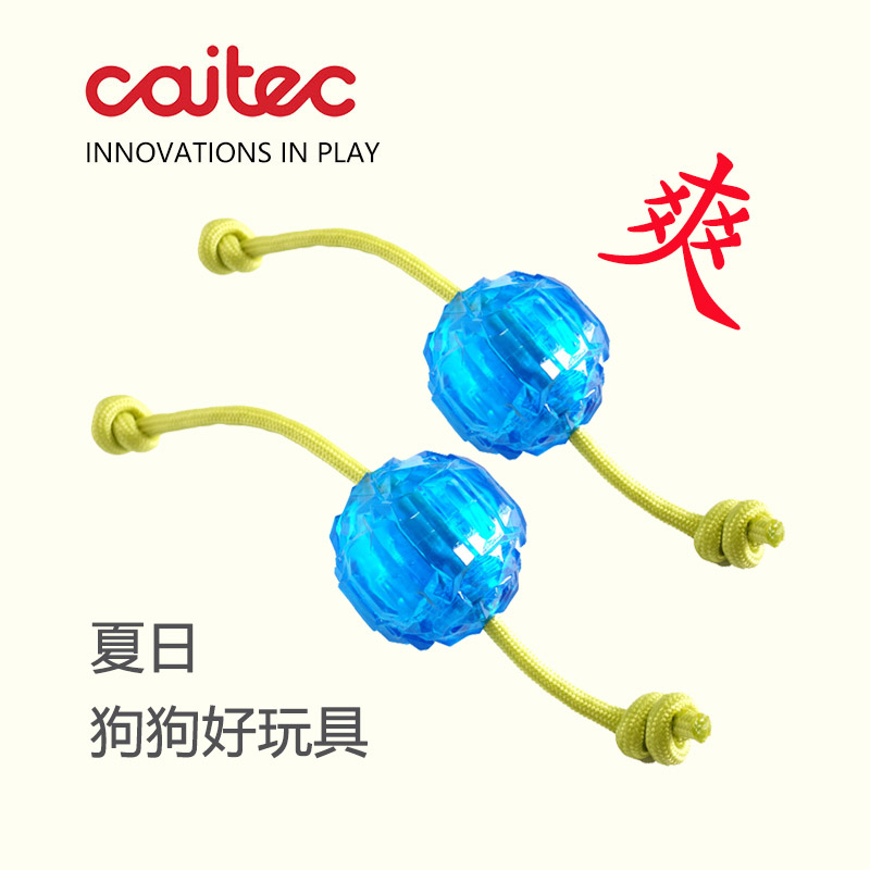 caitec狗狗玩具冰冻玩具