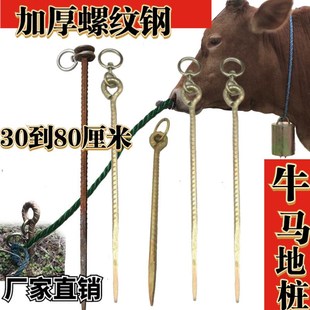 马羊牲口地桩钉加粗螺纹钢地钉帐篷D钉地撅直钉拴牛拴狗橛子地膜