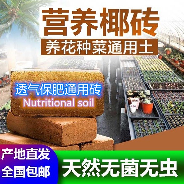 【养花种菜】进口椰砖营养土椰糠多肉种花绿植专用土壤种植通用