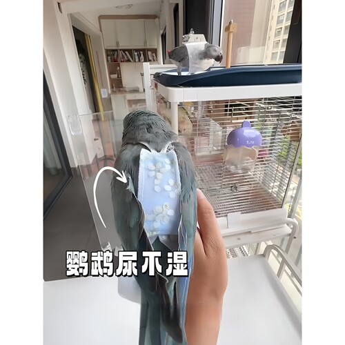 鹦鹉屎兜牡丹虎皮玄凤和尚专用大容量尿不湿可牵引飞行服鸟衣服