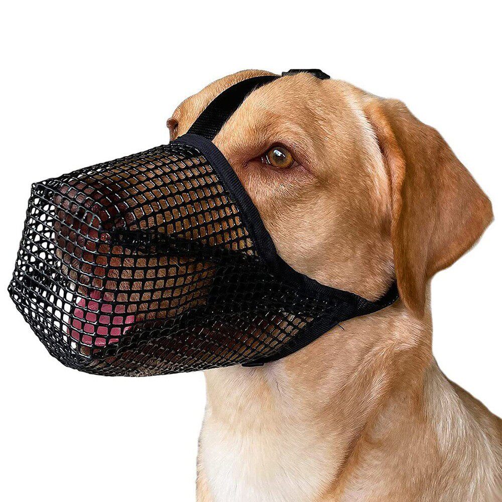 狗狗嘴套防咬叫神器小狗防乱吃泰迪柯基马犬大小型犬透气宠物口罩