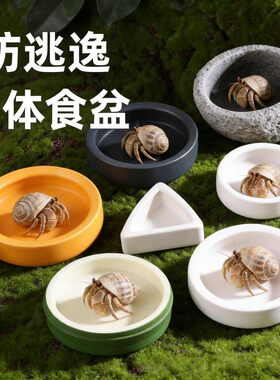 寄居蟹食盆陶瓷爬宠守宫角蛙水盆泡澡饲养造景大麦虫面包虫饲料盆