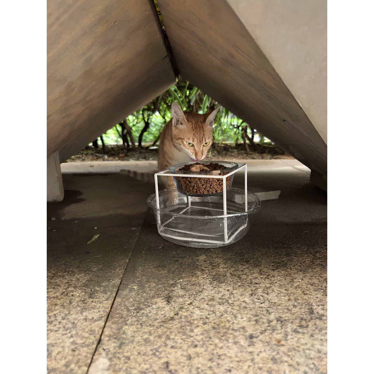 流浪猫喂食碗防蚂蚁防蜗牛保护颈椎猫碗增高架户外动物吃饭玻璃碗