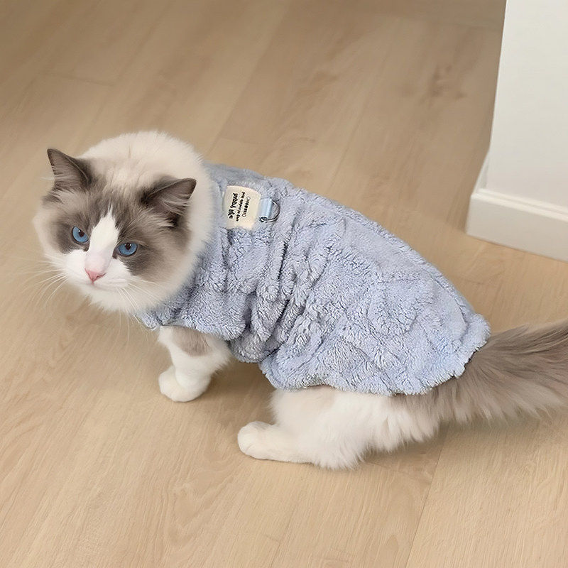 猫咪衣服秋冬款背心马卡龙色系布偶德文泰迪保暖软糯防寒宠物马甲