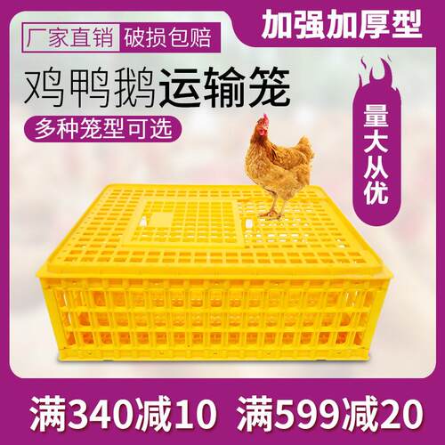 鸡笼塑料周转箱 鸡笼子运输家用特大号养殖鸭筐 加厚胶框成兔鸽鹅