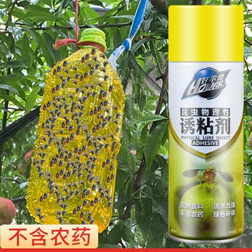 瓜果实蝇诱粘剂果树果园昆虫杀果蝇药黄板粘蝇板针蜂引诱剂诱捕器