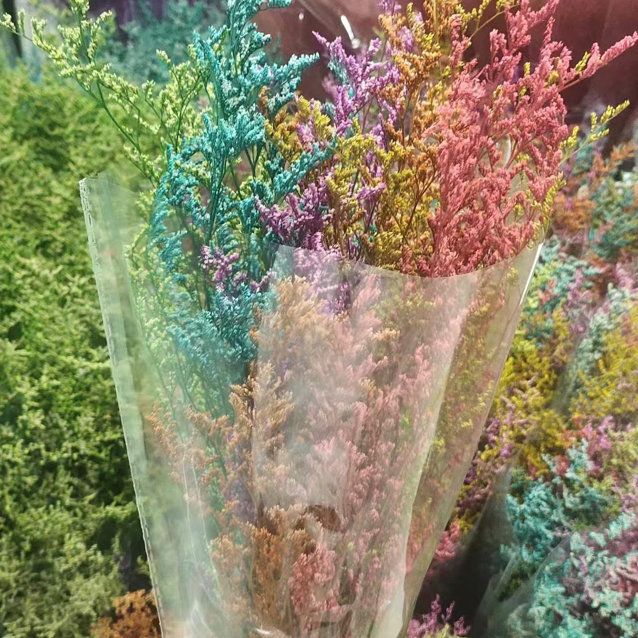 吸色情人草干花永生花情人草花艺插花花束手工DIY花材昆明直发