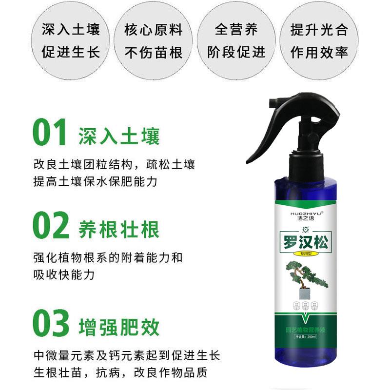 极速罗汉c松肥黄叶死苗一喷绿枯叶病药罗汉松土壤活化宝黑水肥