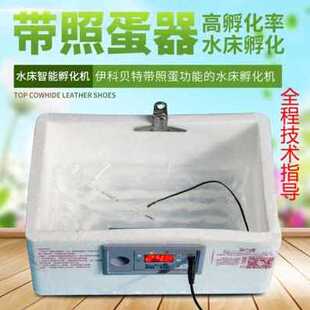 极速新厂销新品种器孵化机孵化蛋家用型鸡L鸭鹅受精蛋J小型全自动