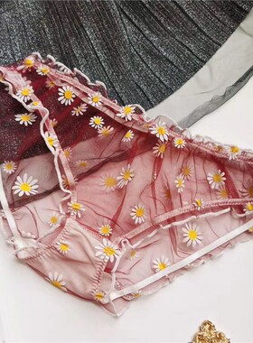 极速Daisy Print Mesh Women Underwear Sexy TransRparent Hollo