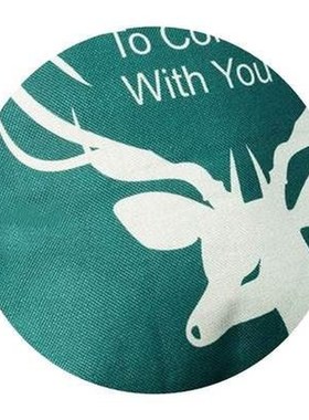 极速Interior decoraotion supplies Daqo pillow car quilt dual