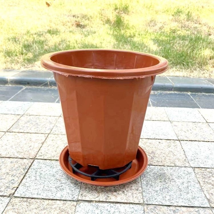极速花盆沥水垫防烂根p防黑腐塑料家用花盆垫高脚塑料花盆底托垫