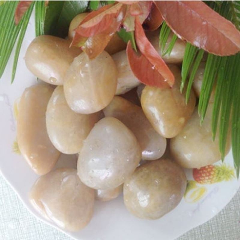 小石粒花盆盖面石鹅卵石大号养花雨花石多肉铺面鱼缸园林装饰花卉