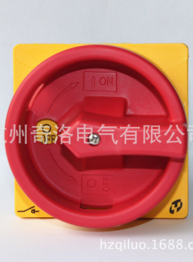 现货TAYEE上海天逸通断开关负荷32A配电柜开关LW42B32-1016/LF101