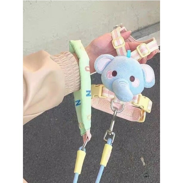 宠物牵引绳小型犬猫咪狗狗可调节背心式遛狗带子防挣脱外出专用