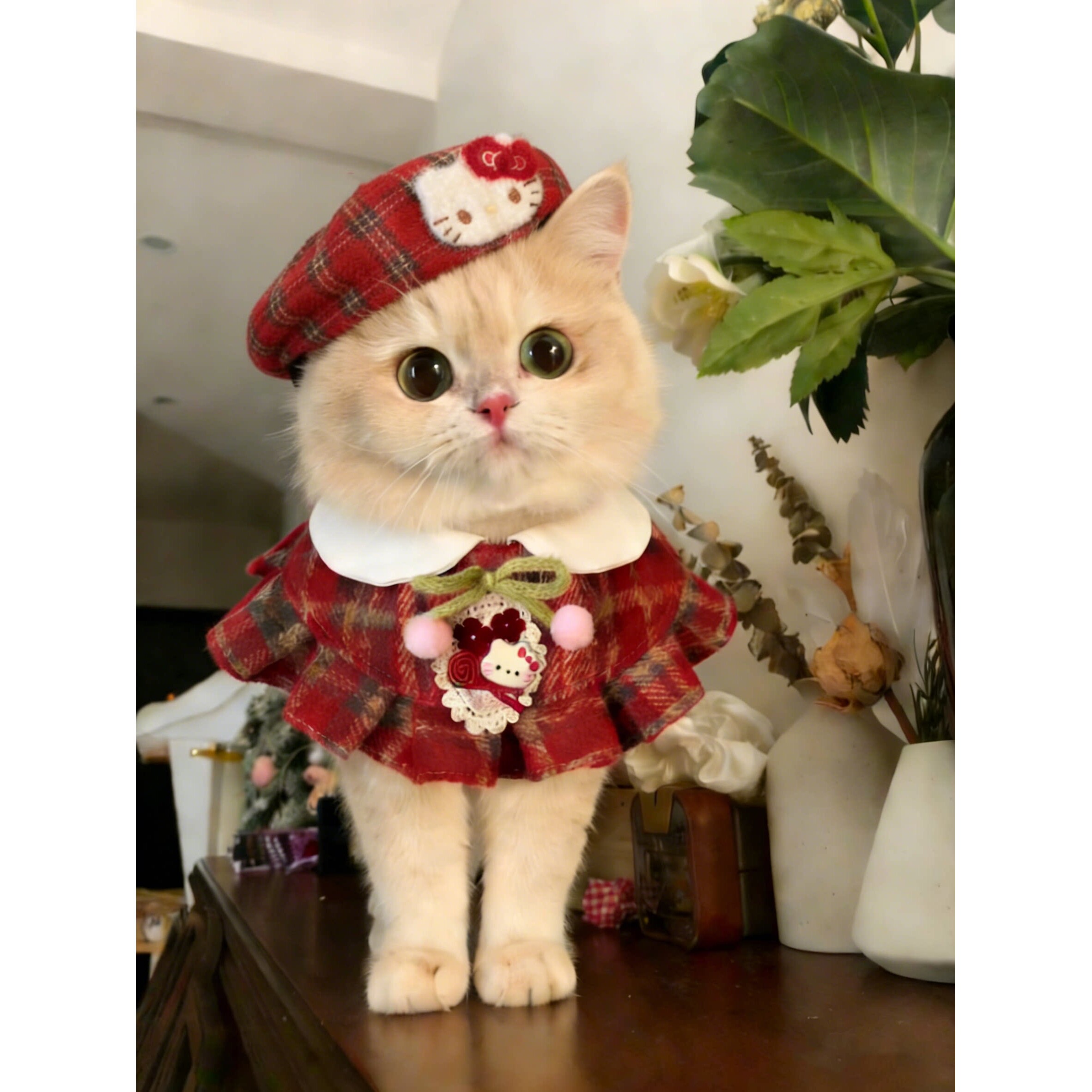 可爱宠物猫咪围脖格子披肩口水巾帽子套装小型犬比熊泰迪衣服2026