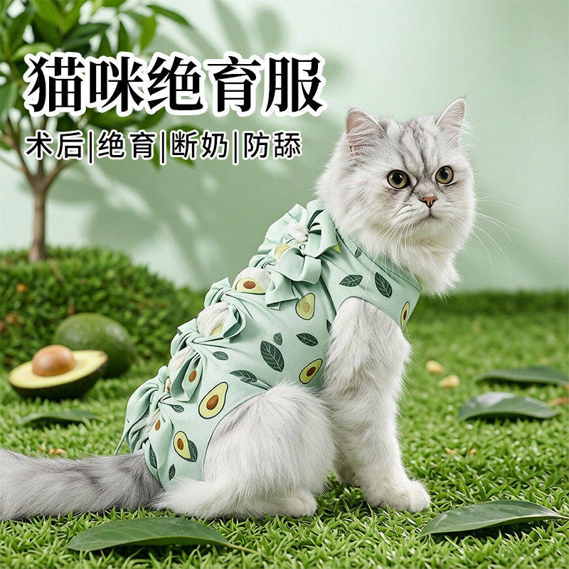 猫咪绝育服母猫手术服衣服透气服断奶服公猫防舔术后宠物猫猫