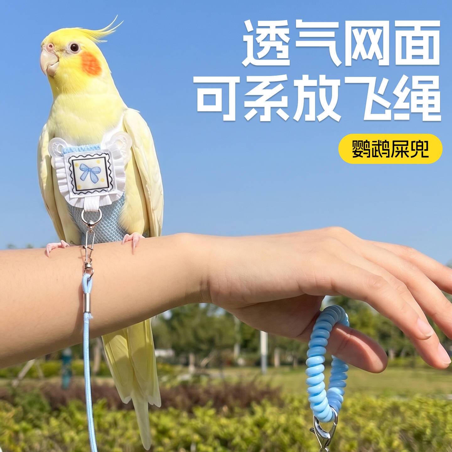 鹦鹉放飞服牵引绳屎兜小鸟尿不湿和尚牡丹小太阳粪兜玄凤屎尿兜