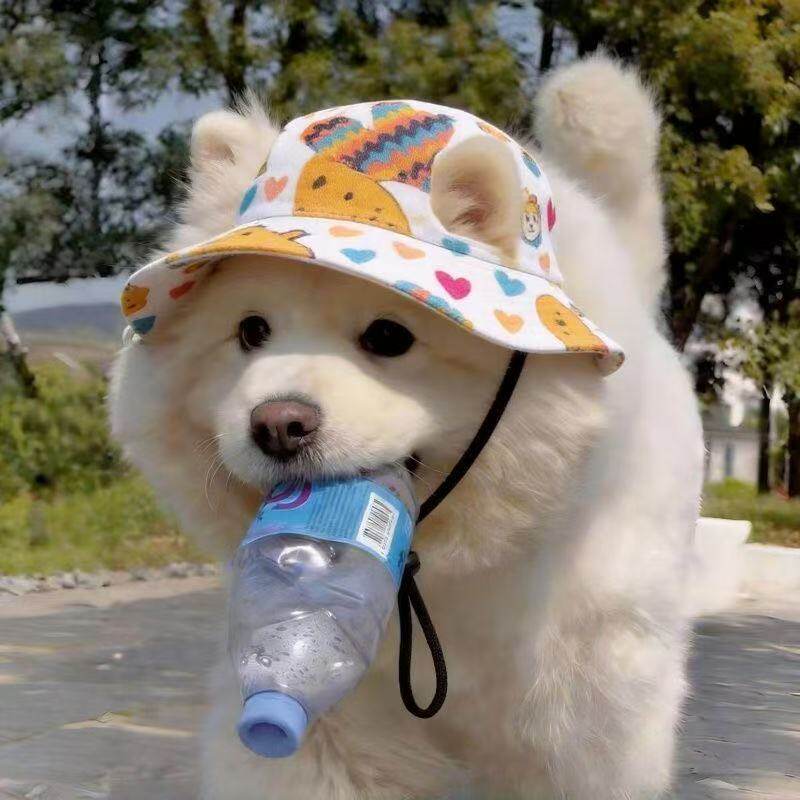 狗狗帽子防晒萨摩耶金毛帅气夏季猫咪小狗大型犬宠物遮阳帽