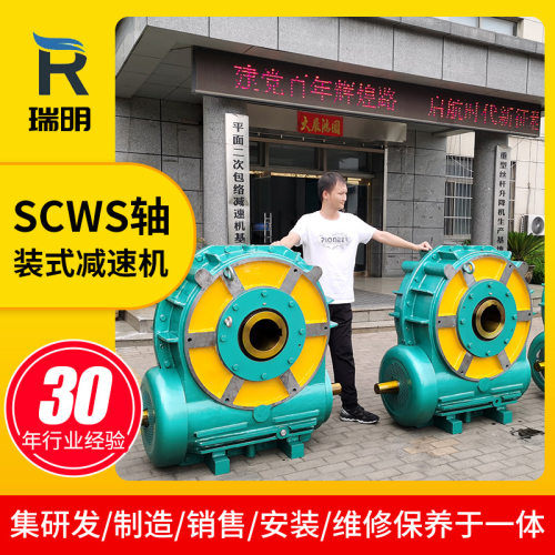 SCWS200轴装式蜗轮蜗杆减速机 300空心轴立式蜗轮蜗杆减速机