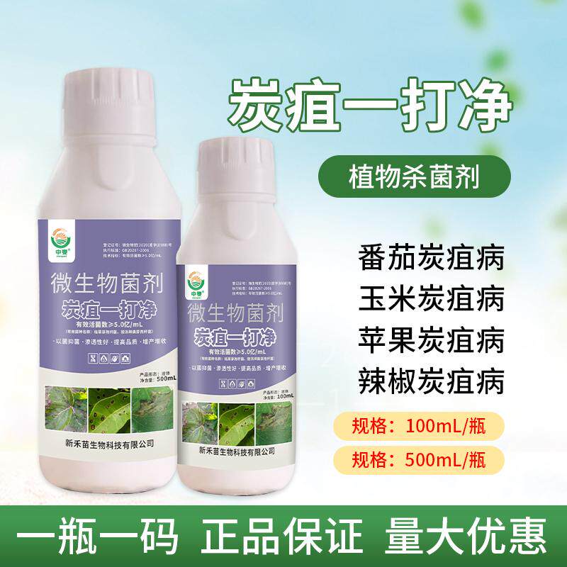 中麦炭疽一打净微生物菌剂通用型