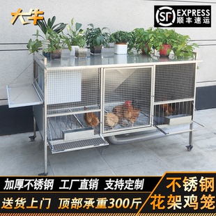 大牛不锈钢室外防黄鼠狼花架鸡笼平顶鸽子笼防雨鸡棚下蛋笼户家用