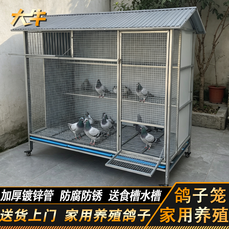 大牛鸽子笼家用室外大号防雨农村户外养鸡专用笼兔笼双层鸡笼鸽舍
