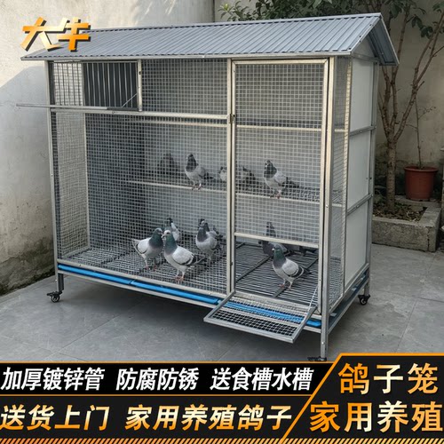 大牛鸽子笼家用室外大号防雨农村户外养鸡专用笼兔笼双层鸡笼鸽舍