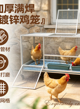 大牛鸡笼自动清粪收蛋防雨黄鼠狼